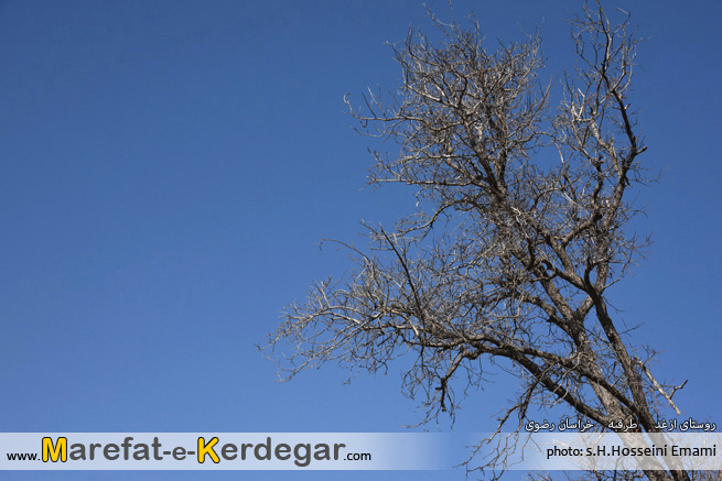 طبیعت ازغد طبیعت ازغد