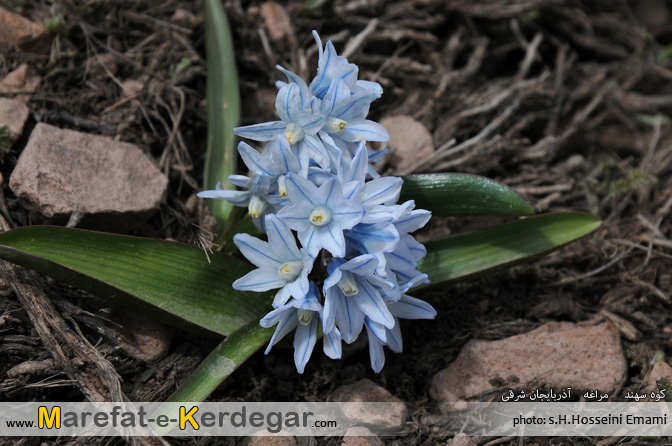 کوهنوردی در آذربایجان شرقی کوهنوردی در آذربایجان شرقی