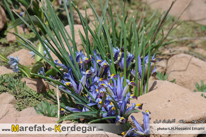 کوهنوردی در استان آذربایجان شرقی کوهنوردی در استان آذربایجان شرقی