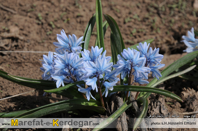 طبیعت استان آذربایجان شرقی طبیعت استان آذربایجان شرقی