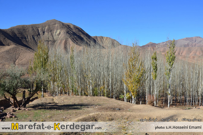 پاییز روستای تربت حیدریه پاییز روستای تربت حیدریه