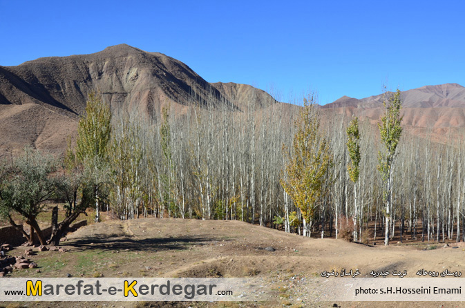 پاییز روستای تربت حیدریه