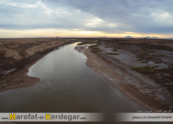 گردشگری گناباد گردشگری گناباد