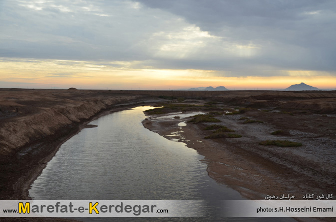 جاذبه های گردشگری گناباد جاذبه های گردشگری گناباد