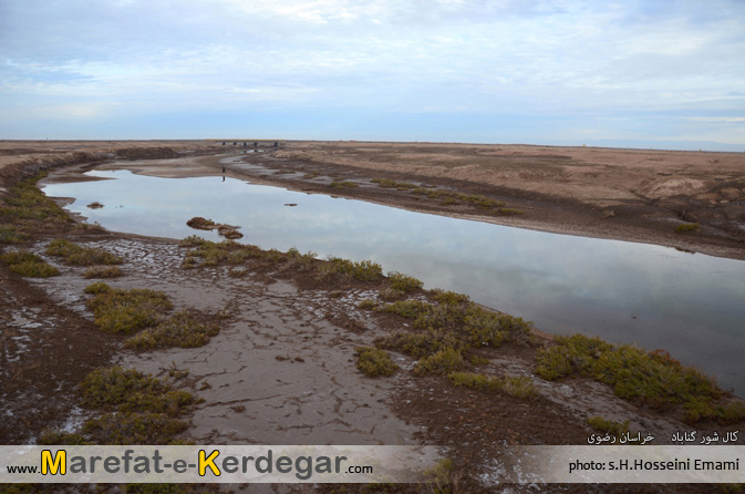 دیدنی های گناباد دیدنی های گناباد