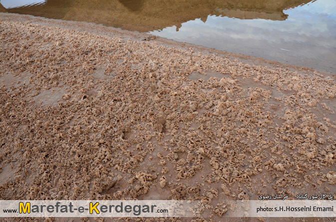 طبیعت گناباد طبیعت گناباد