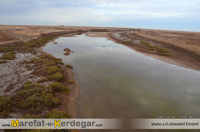 طبیعت گناباد طبیعت گناباد