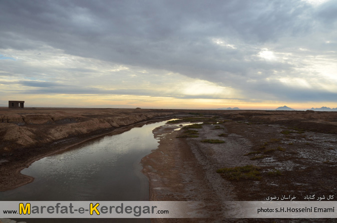 طبیعت گناباد طبیعت گناباد