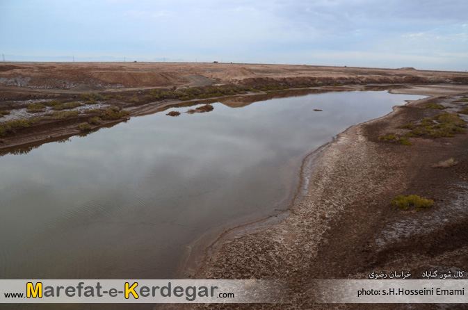 کال شور کال شور