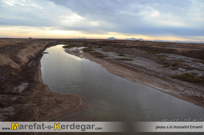 کال شور کال شور