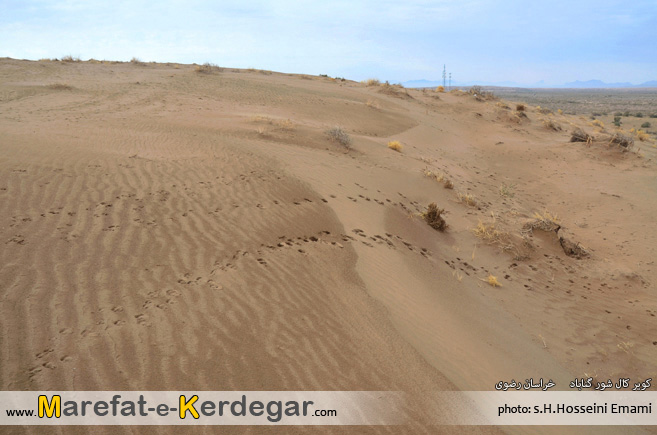 کویر گردی در استان خراسان رضوی کویر گردی در استان خراسان رضوی