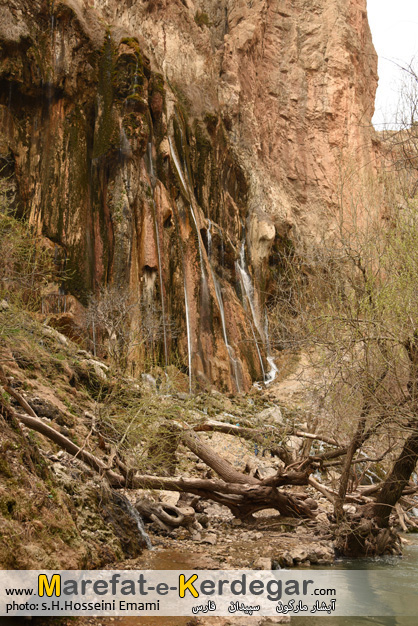 مارگون مارگون