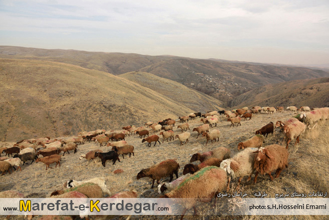 روستای سربرج