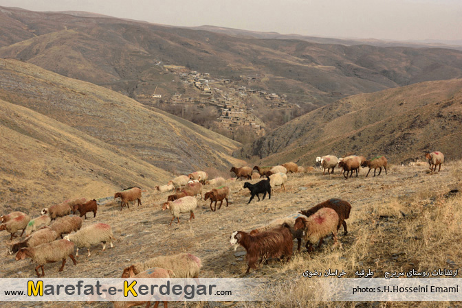 روستای سربرج روستای سربرج