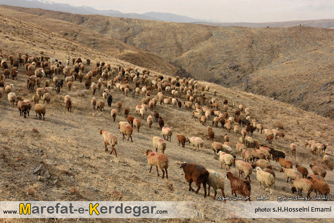 جاذبه های گردشگری طرقبه جاذبه های گردشگری طرقبه