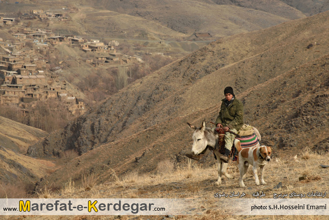 جاذبه های گردشگری طرقبه جاذبه های گردشگری طرقبه