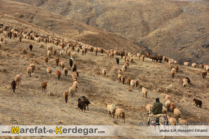 جاذبه های طبیعی طرقبه جاذبه های طبیعی طرقبه