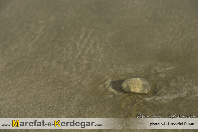 گردشگری جاسک گردشگری جاسک