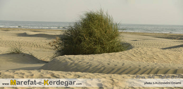 ماسه بادی و دریا ماسه بادی و دریا