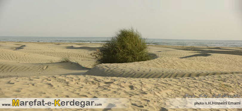ماسه بادی و دریا ماسه بادی و دریا