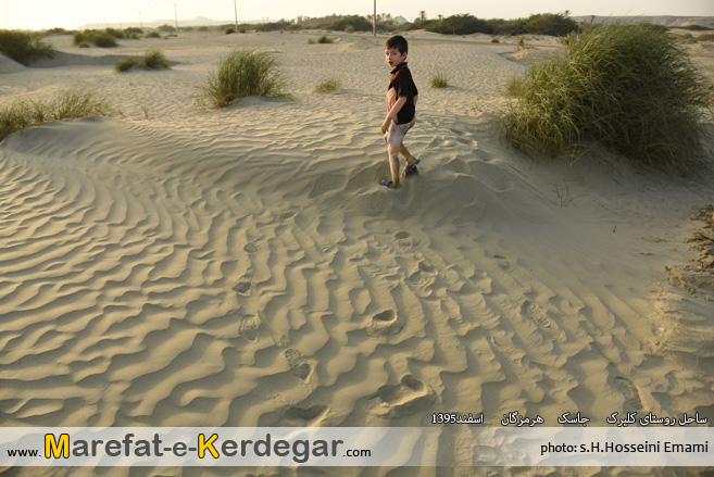 معرفت کردگار معرفت کردگار