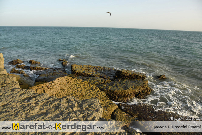 مکان های توریستی بندر جاسک مکان های توریستی بندر جاسک