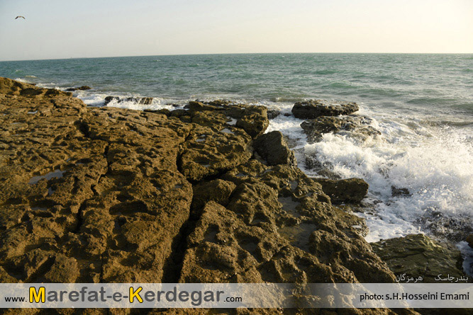 ساحل بندر جاسک ساحل بندر جاسک