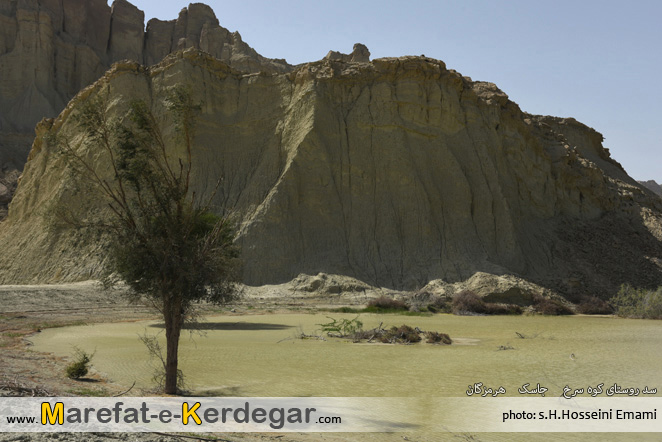 طبیعت جنوب طبیعت جنوب