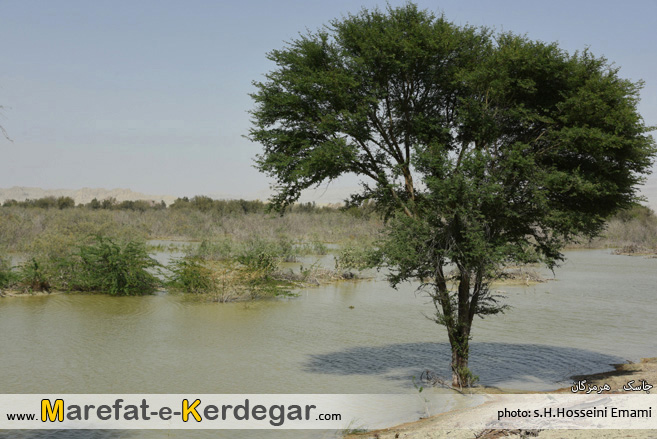 جاذبه های طبیعی جاسک جاذبه های طبیعی جاسک