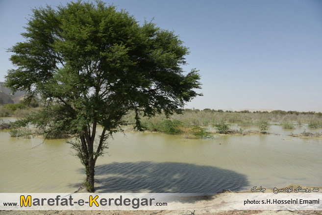 جاذبه های طبیعی جاسک جاذبه های طبیعی جاسک