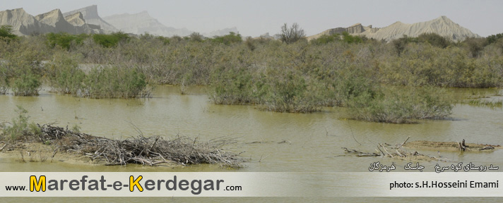 جاذبه های طبیعی هرمزگان جاذبه های طبیعی هرمزگان