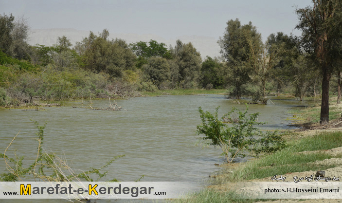 گردشگری جاسک گردشگری جاسک