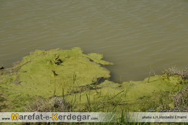 گردشگری جاسک گردشگری جاسک