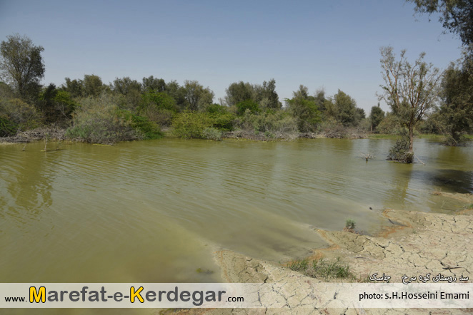 سفر به جاسک سفر به جاسک