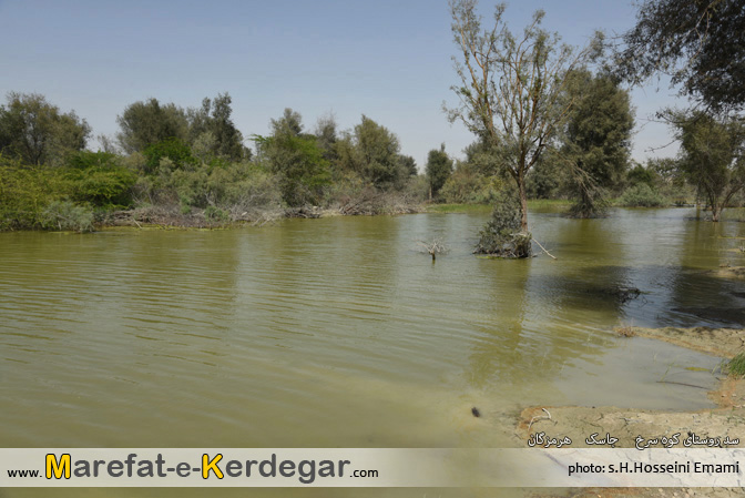 سفر به جاسک سفر به جاسک