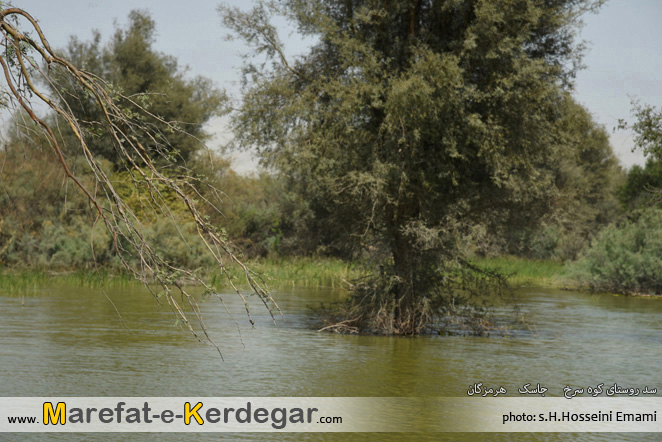 سفر به هرمزگان سفر به هرمزگان