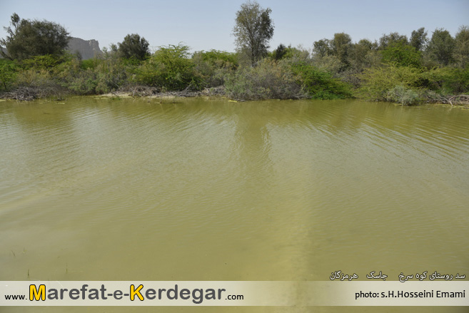 عکاسی از جاسک عکاسی از جاسک