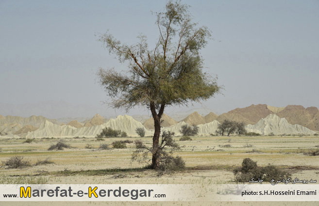 سفر به جنوب سفر به جنوب