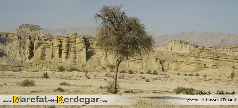 گردشگری جاسک گردشگری جاسک