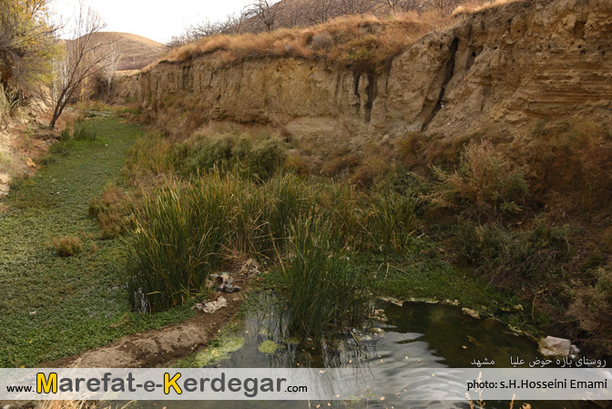 طبیعت روستای بازه حوض علیا طبیعت روستای بازه حوض علیا