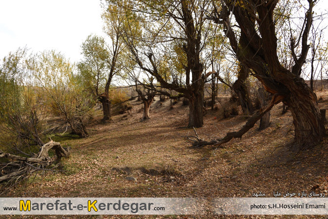 پاییز خراسان رضوی پاییز خراسان رضوی