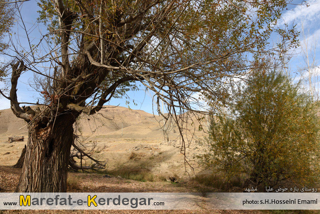 پاییز روستای بازه حوض علیا پاییز روستای بازه حوض علیا