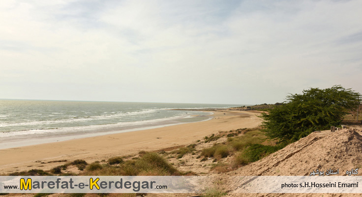 گردشگری گناوه گردشگری گناوه