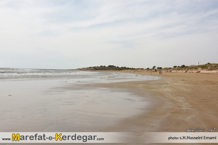 طبیعت گناوه طبیعت گناوه