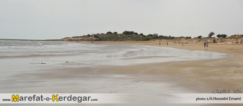 طبیعت بندر گناوه طبیعت بندر گناوه