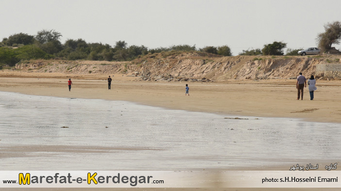 طبیعت استان بوشهر طبیعت استان بوشهر