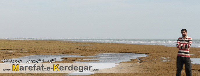 طبیعت ایران طبیعت ایران