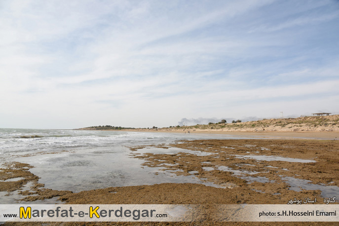 دیدنی های گناوه دیدنی های گناوه