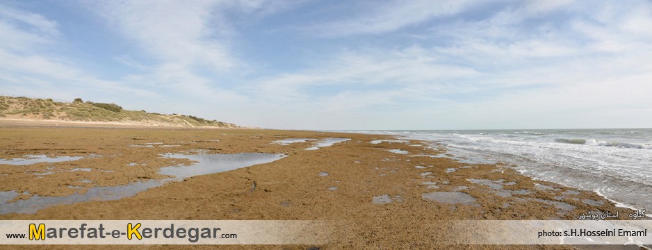 دیدنی های گناوه دیدنی های گناوه