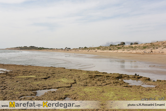 ساحل مرجانی ساحل مرجانی